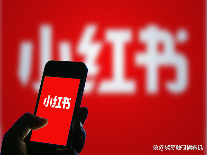 数据报告